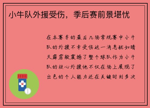 小牛队外援受伤，季后赛前景堪忧